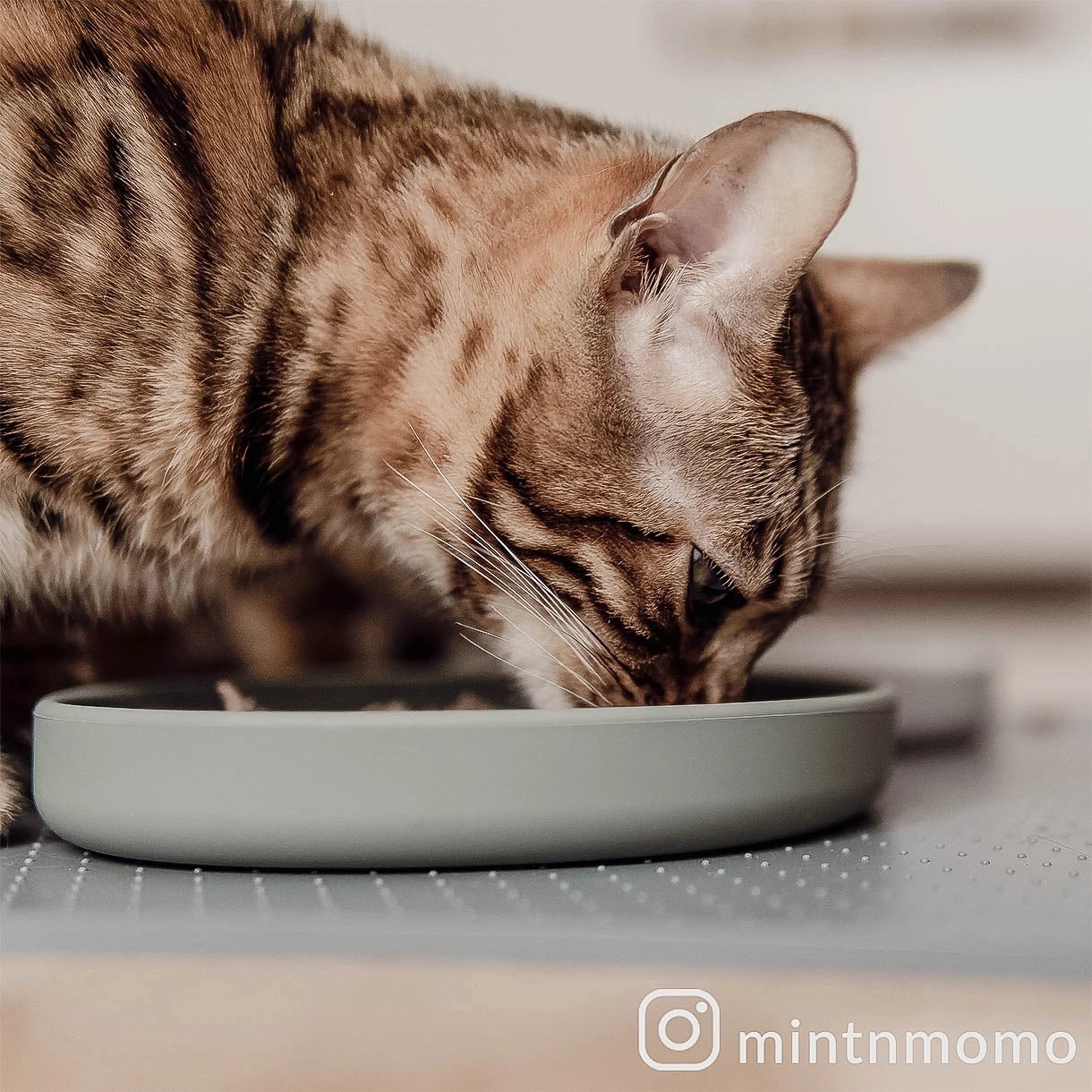 Smooth | Gamelle silicone anti - stress des moustaches pour chat - Jean - Poil - Bleu clair