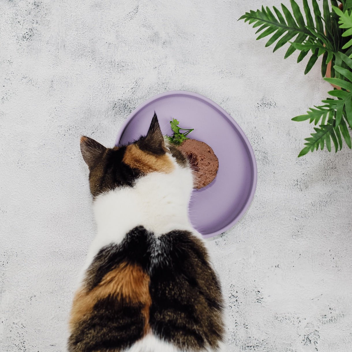 Smooth | Gamelle silicone anti - stress des moustaches pour chat - Jean - Poil - Bleu clair