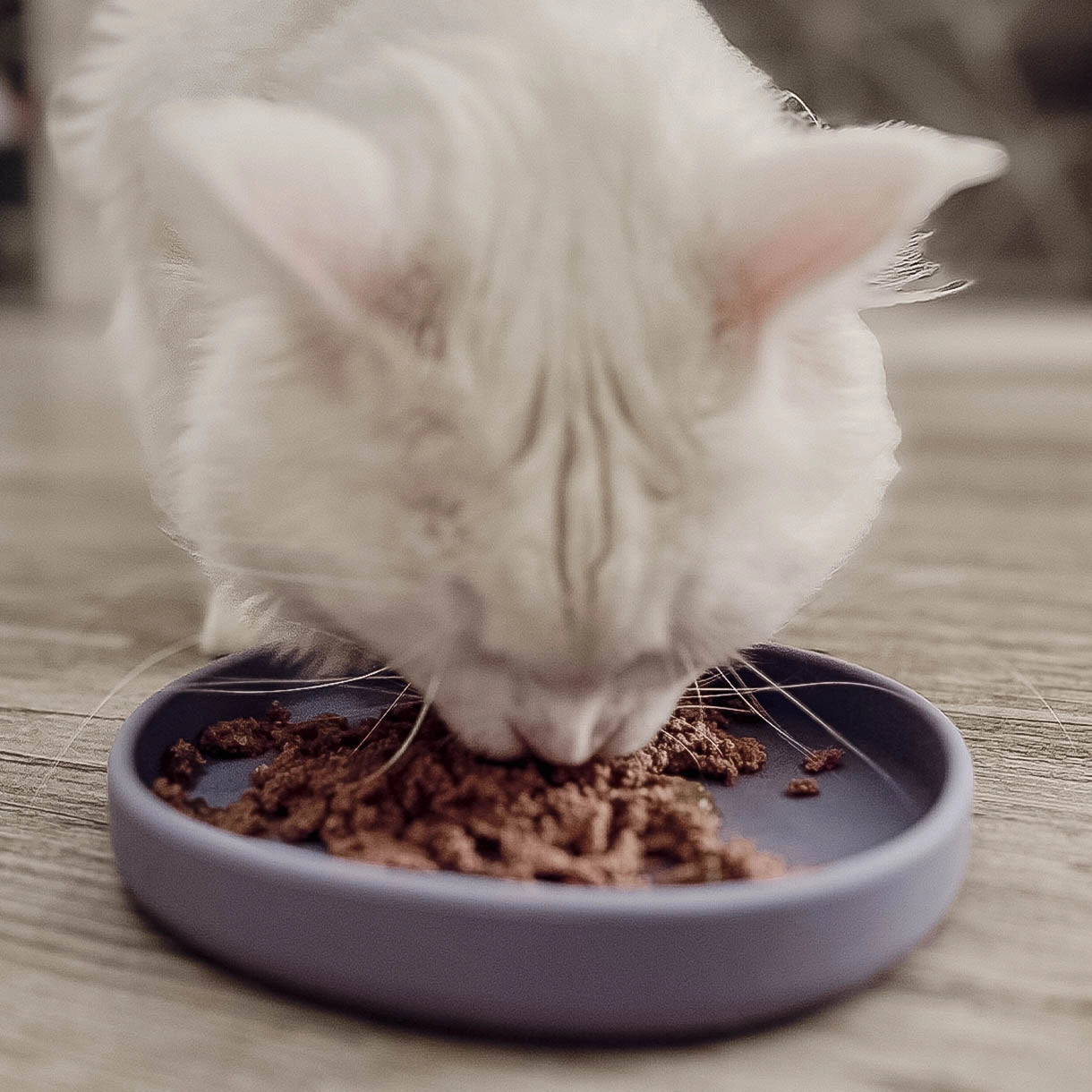 Smooth | Gamelle silicone anti - stress des moustaches pour chat - Jean - Poil - Bleu clair