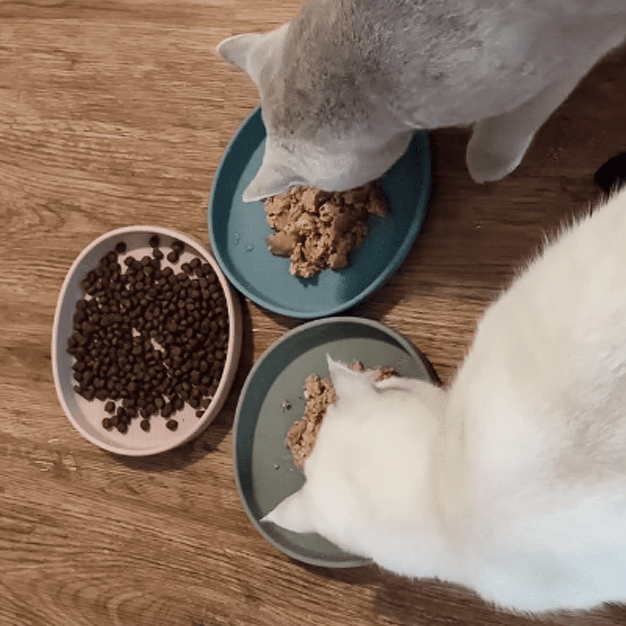 Smooth | Gamelle silicone anti - stress des moustaches pour chat - Jean - Poil - Bleu clair