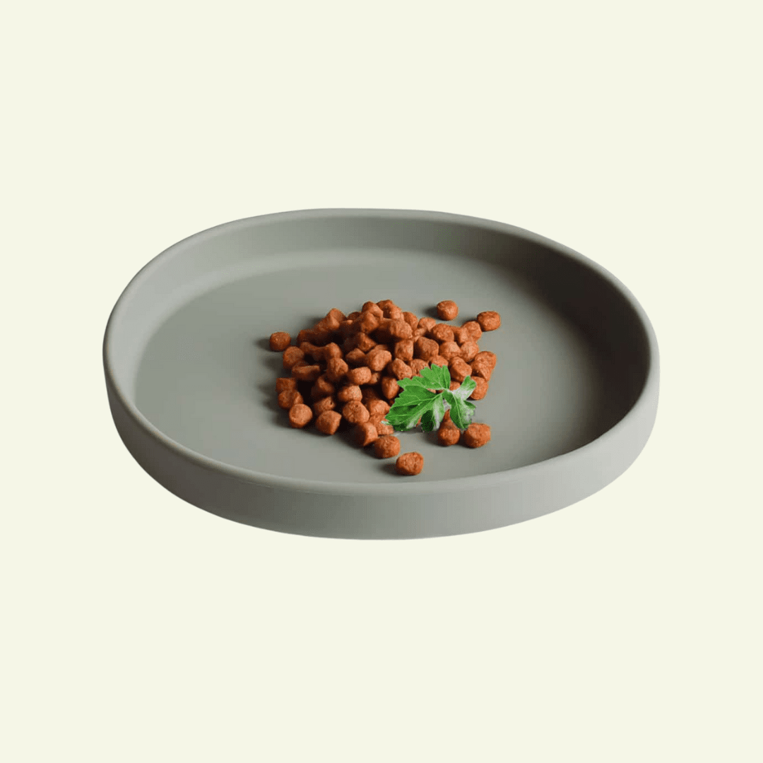 Smooth | Gamelle silicone anti - stress des moustaches pour chat - Jean - Poil - Vert