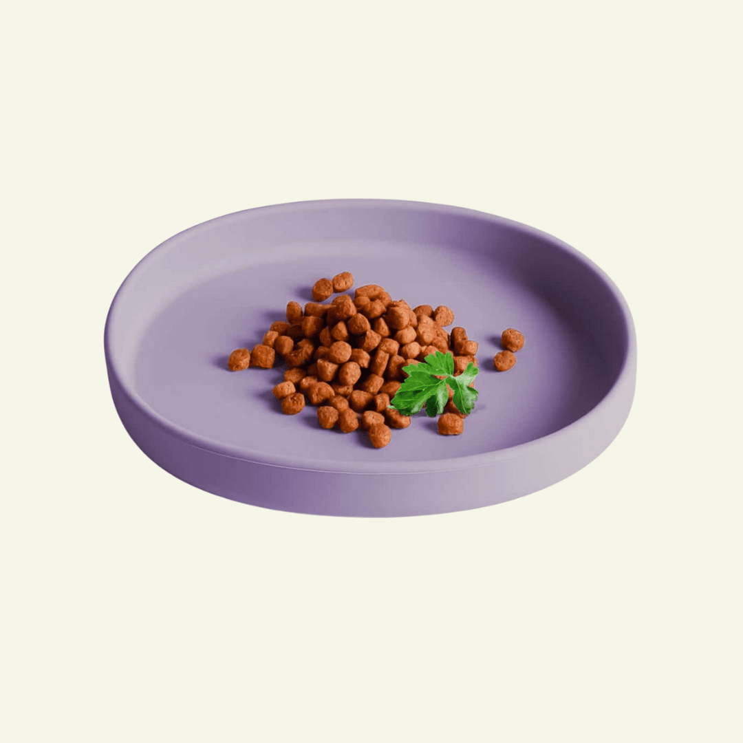 Smooth | Gamelle silicone anti - stress des moustaches pour chat - Jean - Poil - Violet