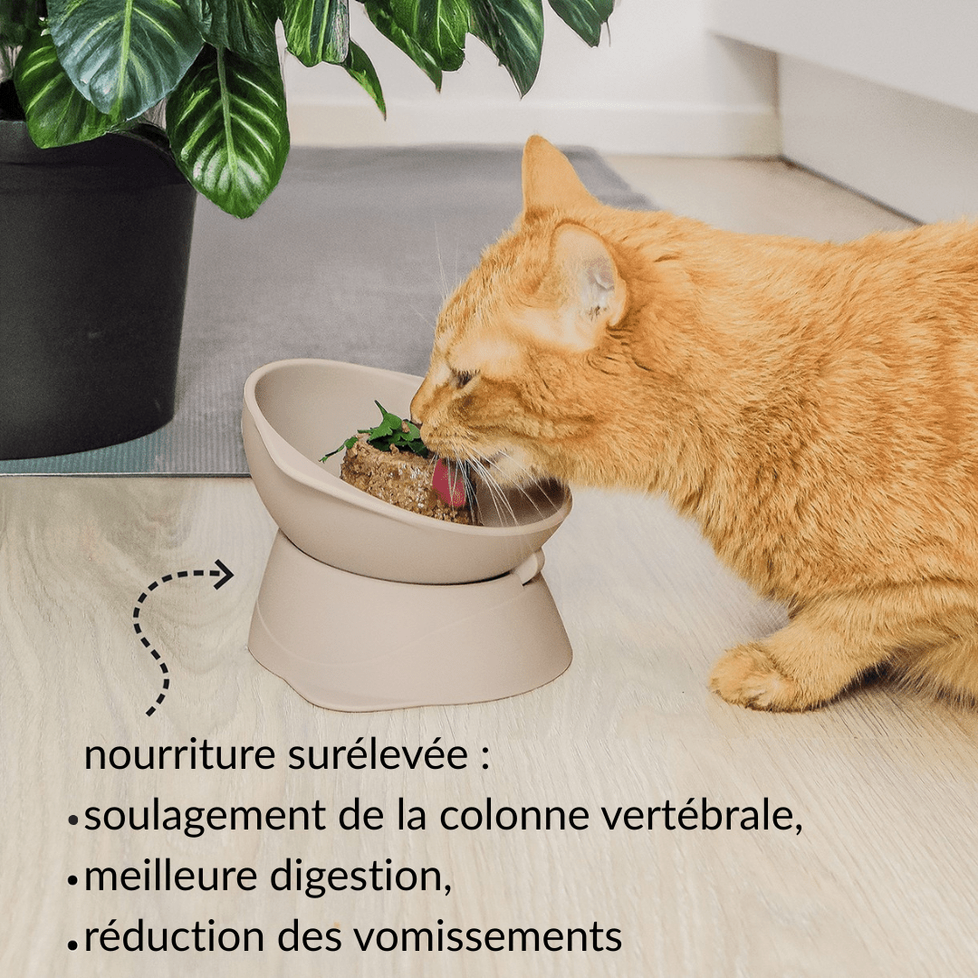 Smooth | Gamelle surélevée en silicone ergonomique - Jean - Poil - Bleu clair