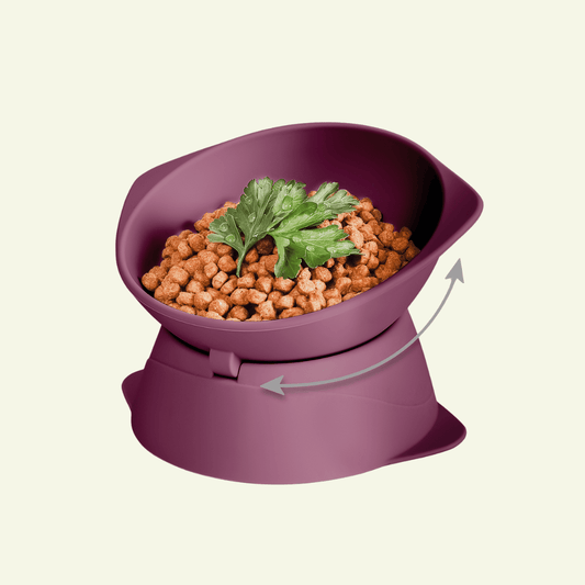 Smooth | Gamelle surélevée en silicone ergonomique - Jean - Poil - Bordeaux