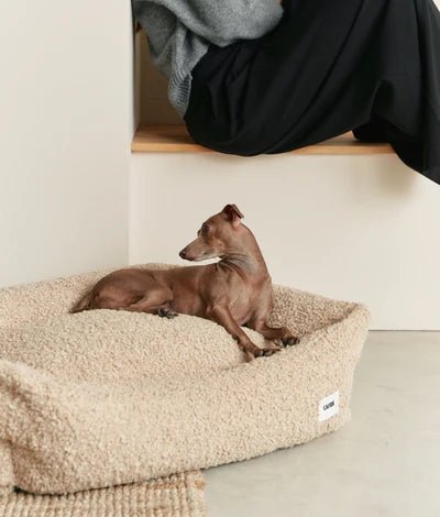 Snozy | Panier en tissu bouclette pour chien – Moelleux ajustable & éco - responsable - Jean - Poil - Vert kaki - S - Panier chien en tissu bouclette beige ajustable et déhoussable Snozy Cafide