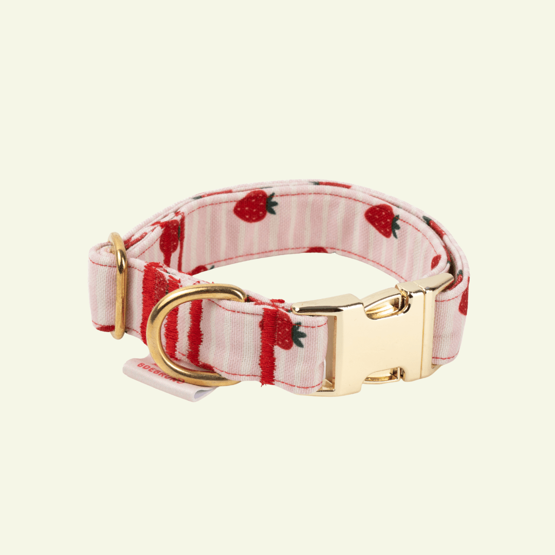 Strawberry | Collier pour chien à rayures roses - motif fraises, fait main - Jean - Poil - 2XS