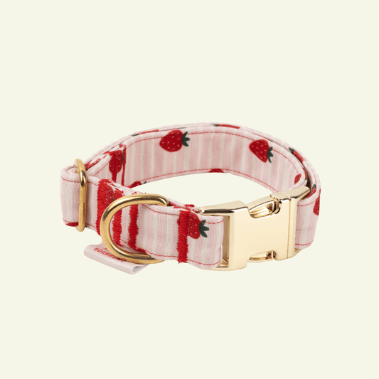 Strawberry | Collier pour chien à rayures roses - motif fraises, fait main - Jean - Poil - 2XS