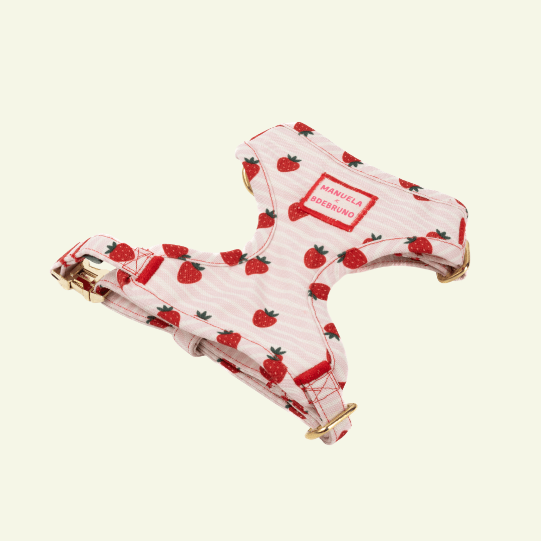 Strawberry | Harnais de poitrine pour chat et chien à rayures roses - motif tomates, fait main - Jean - Poil - XS