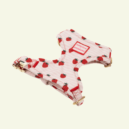 Strawberry | Harnais de poitrine pour chat et chien à rayures roses - motif tomates, fait main - Jean - Poil - XS