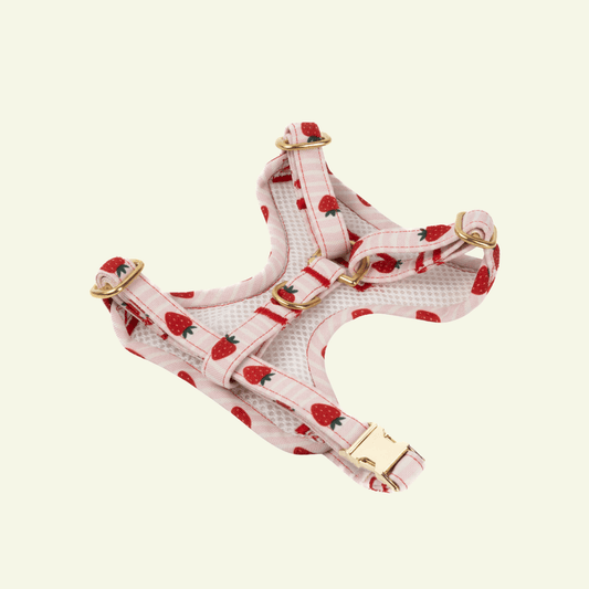 Strawberry | Harnais de poitrine pour chat à rayures roses - motif tomates, fait main - Jean - Poil - XS