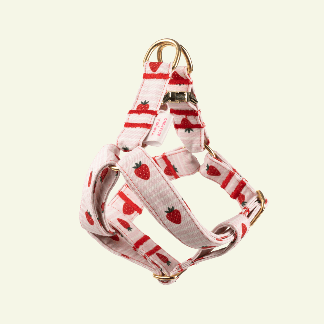 Strawberry | Harnais simple pour chien à rayures roses - motif fraises, fait main - Jean - Poil - 2XS