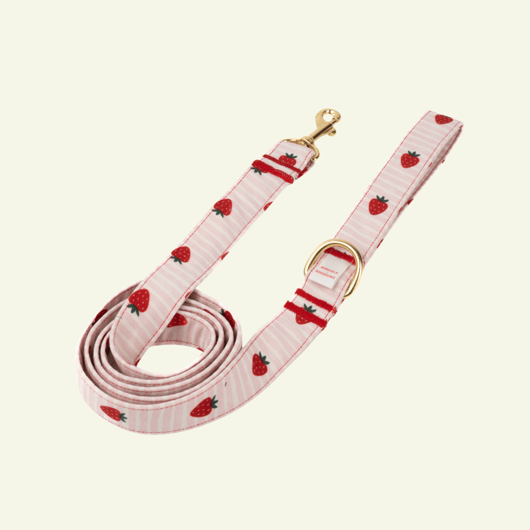 Strawberry | Laisse pour chats motif fraises, ville & multipositions, fait main - Jean - Poil - M