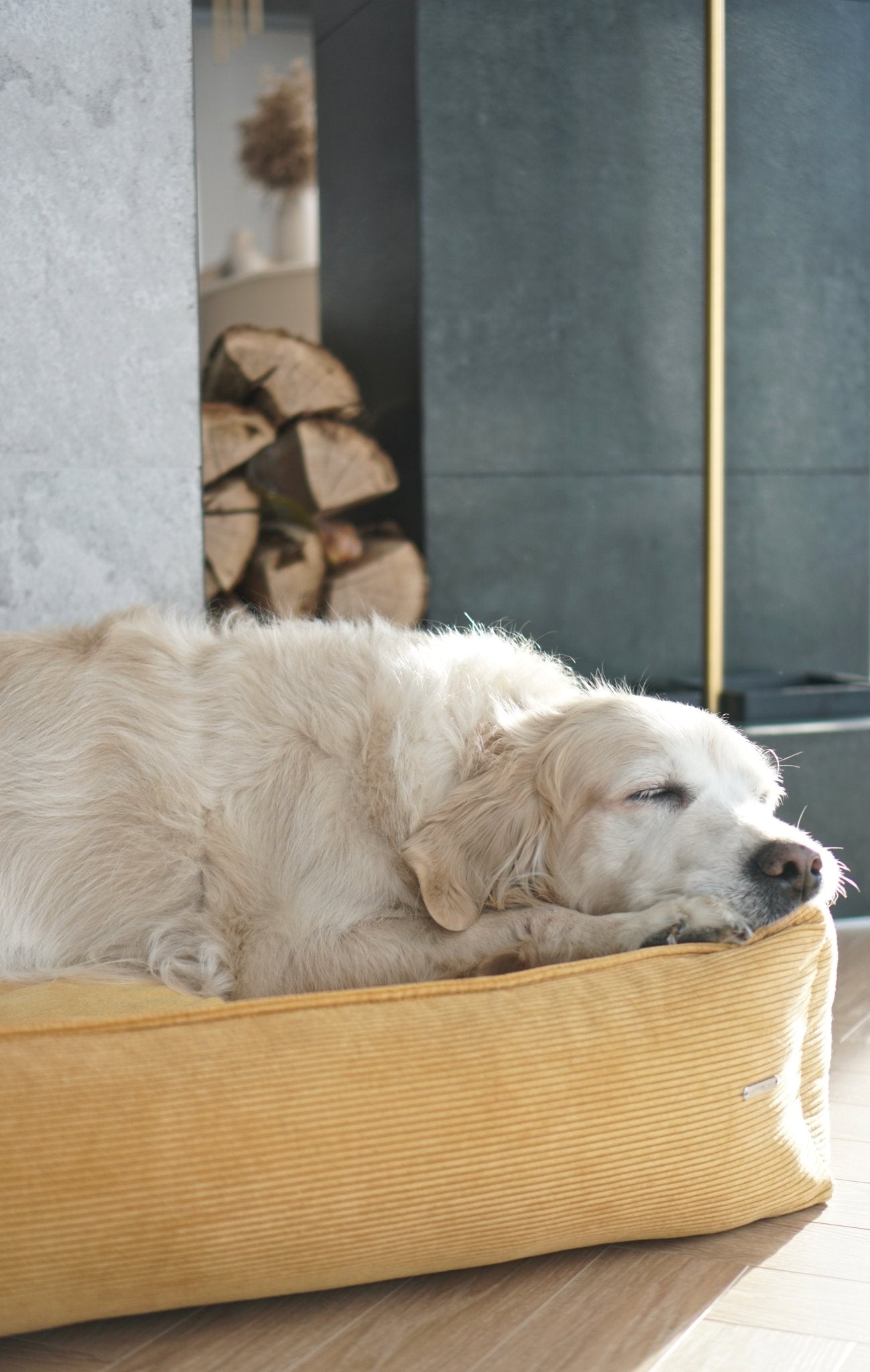 Strippo | Panier pour chien en velours côtelé, bords hauts et housse lavable - Jean - Poil - Jaune
