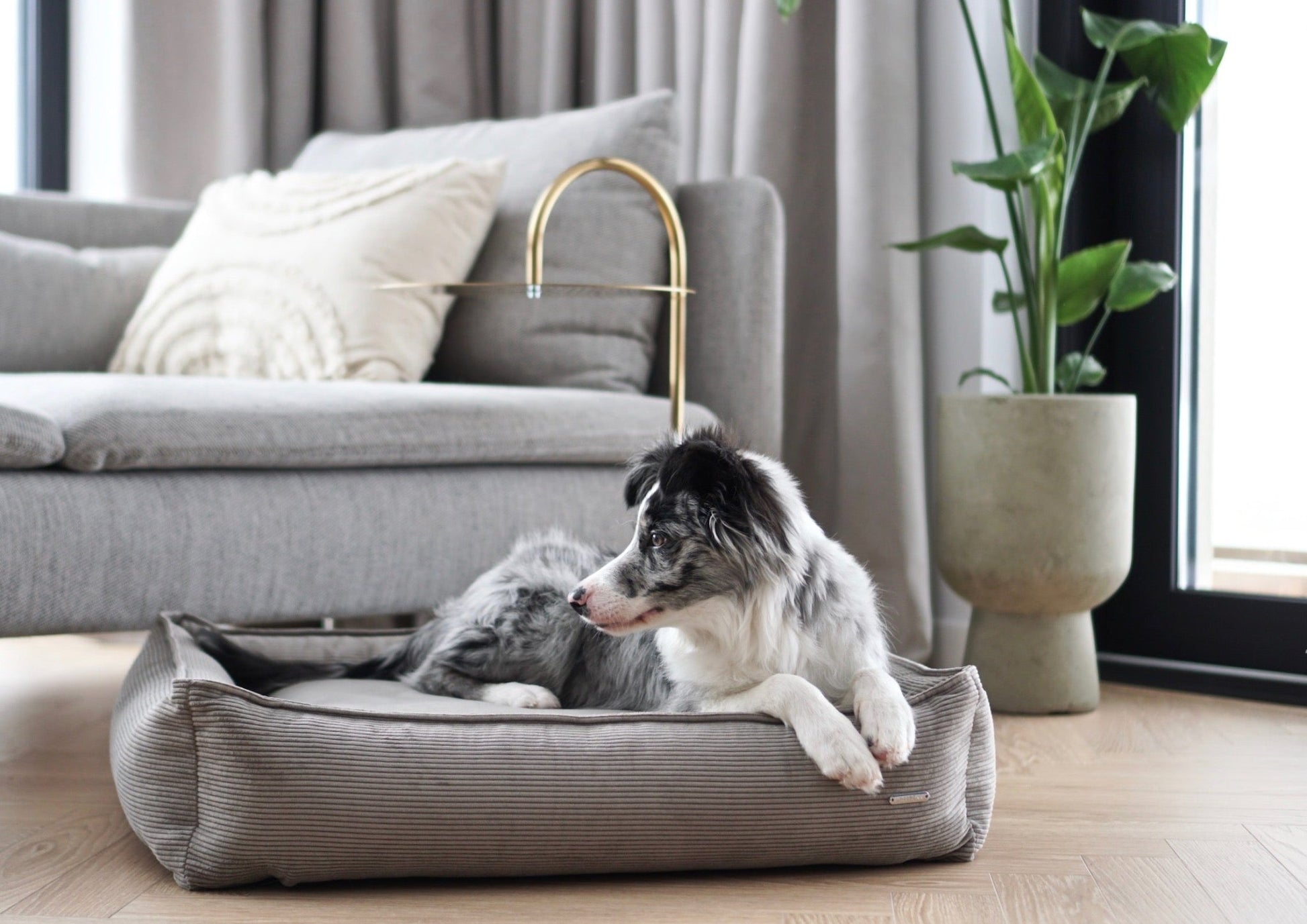 Strippo | Panier pour chien en velours côtelé, bords hauts et housse lavable - Jean - Poil - Jaune