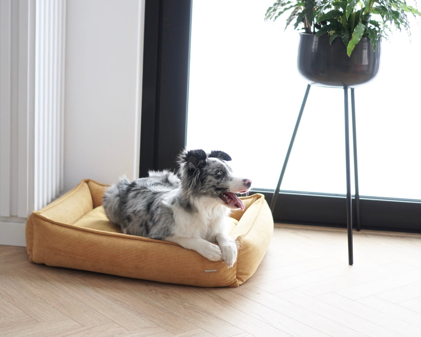 Strippo | Panier pour chien en velours côtelé, bords hauts et housse lavable - Jean - Poil - Jaune