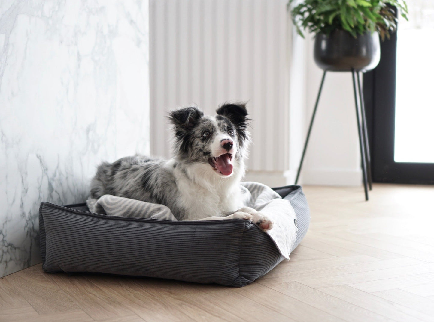 Strippo | Panier pour chien en velours côtelé, bords hauts et housse lavable - Jean - Poil - Jaune