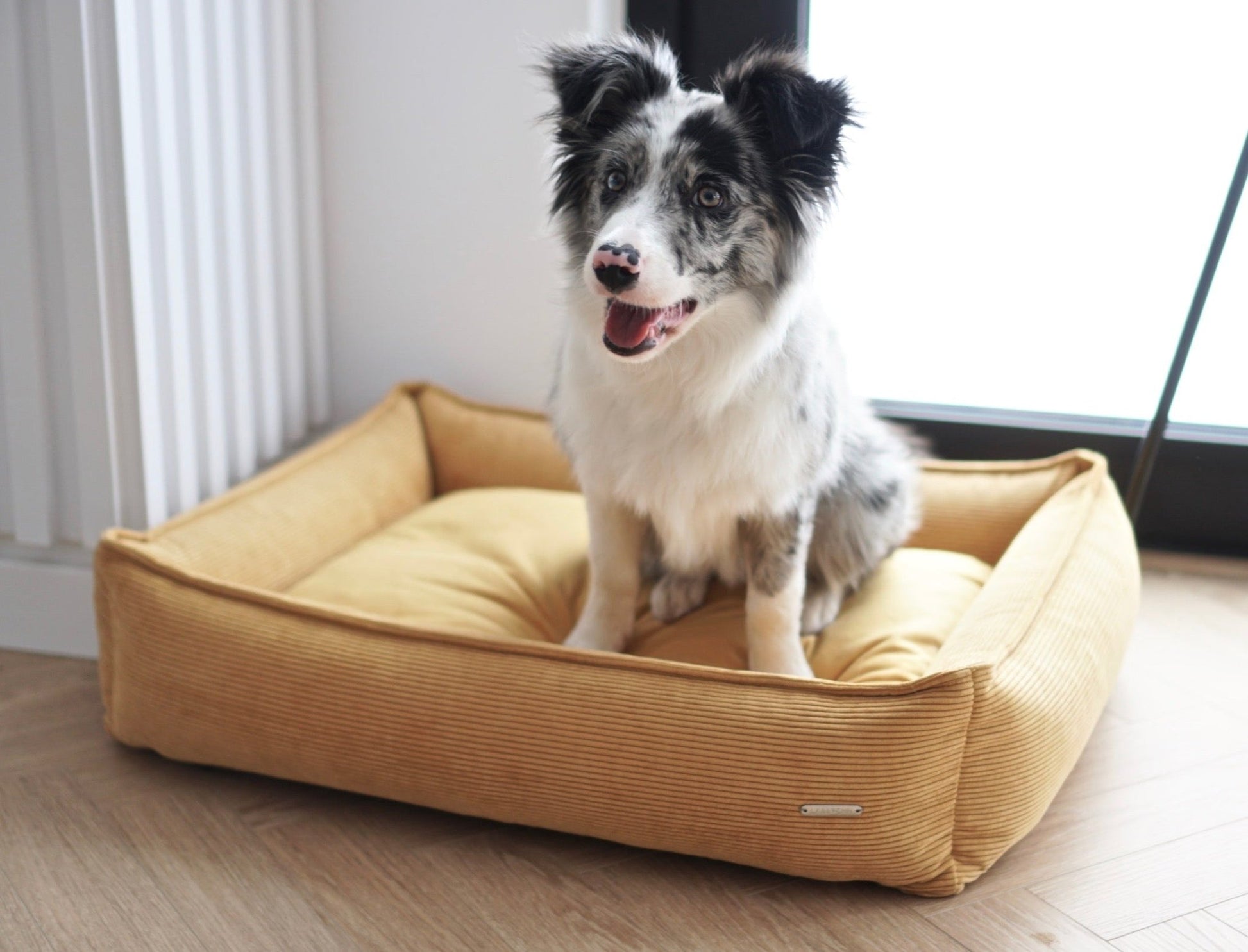 Strippo | Panier pour chien en velours côtelé, bords hauts et housse lavable - Jean - Poil - Jaune