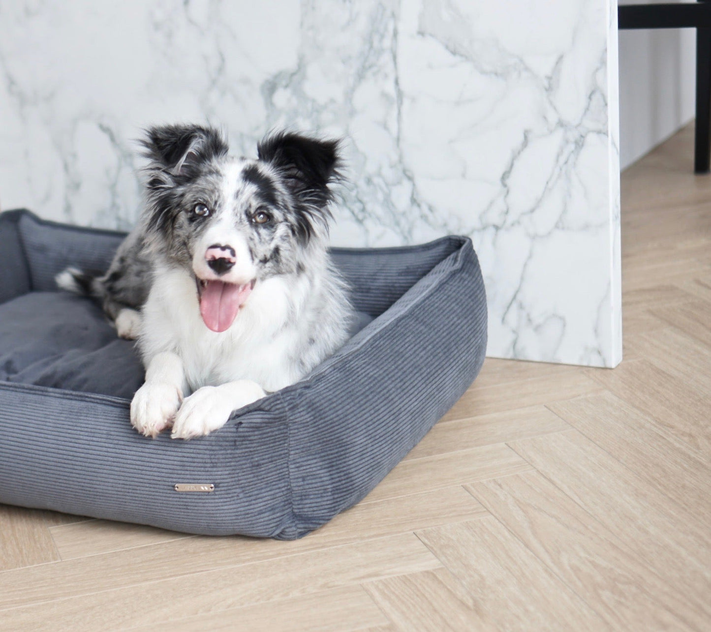 Strippo | Panier pour chien en velours côtelé, bords hauts et housse lavable - Jean - Poil - Jaune