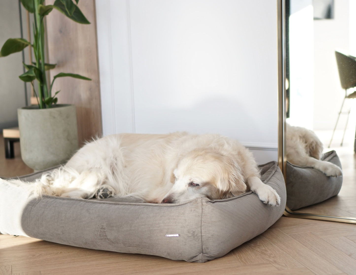 Strippo | Panier pour chien en velours côtelé, bords hauts et housse lavable - Jean - Poil - Jaune