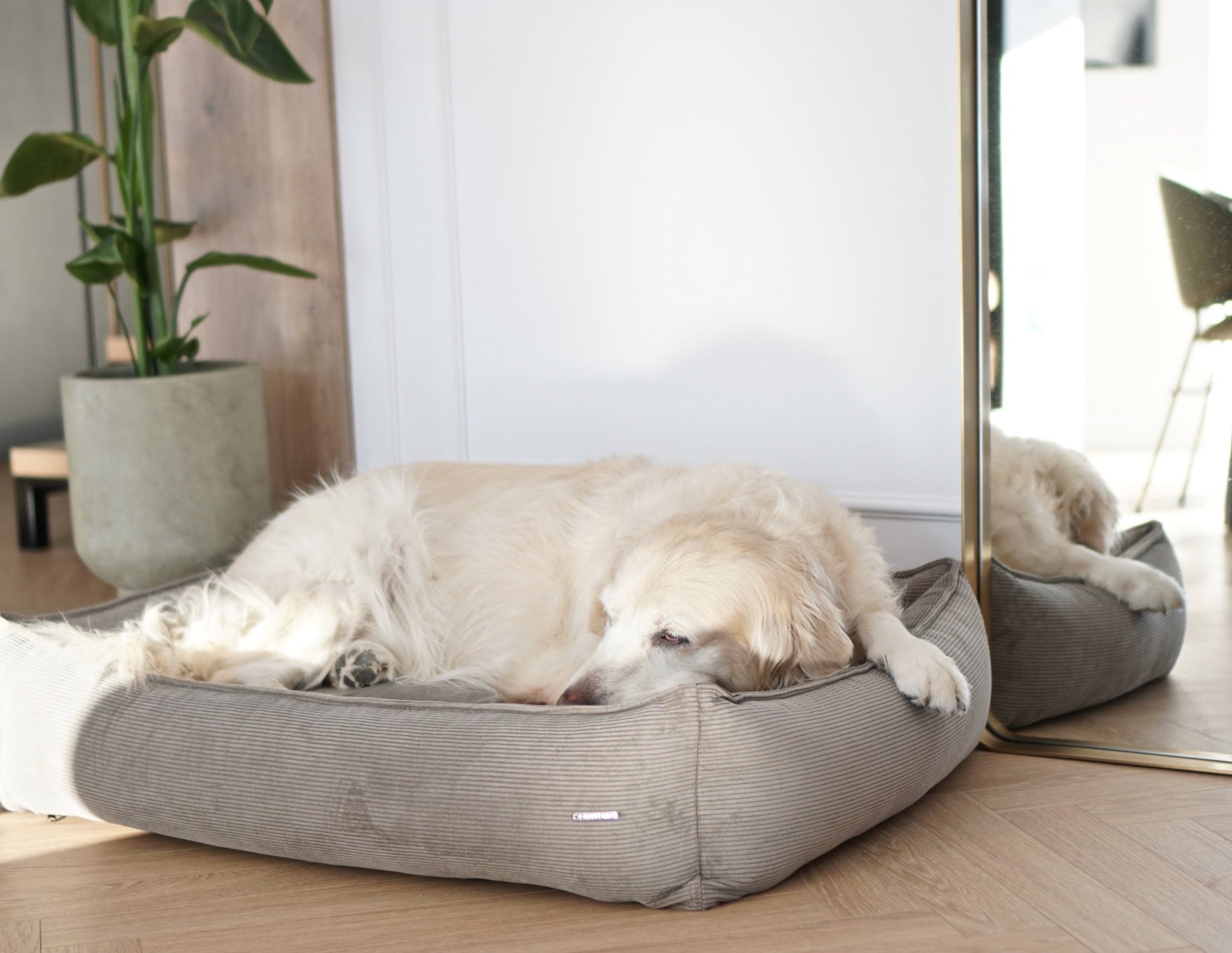 Strippo | Panier pour chien en velours côtelé, bords hauts et housse lavable - Jean - Poil - Jaune