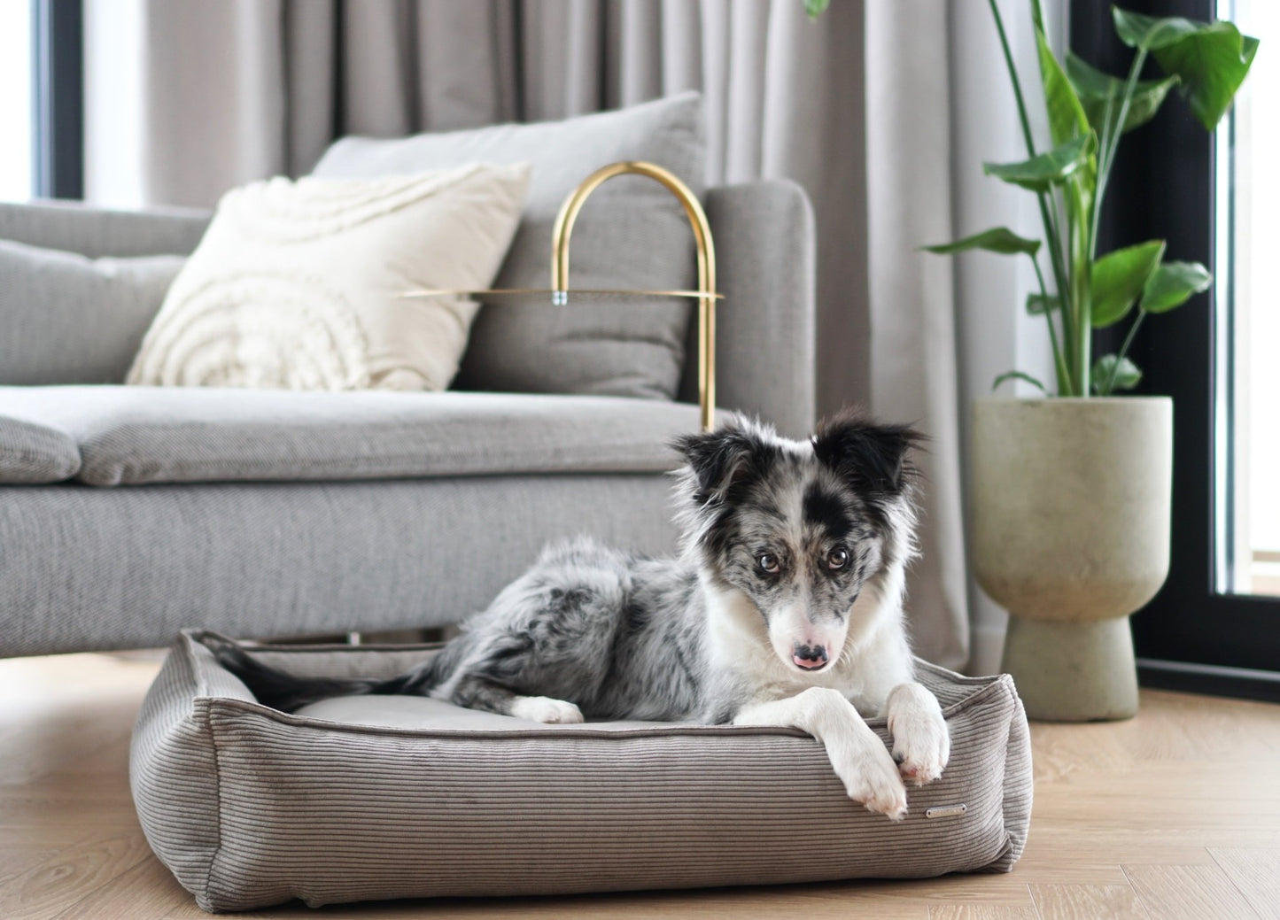 Strippo | Panier pour chien en velours côtelé, bords hauts et housse lavable - Jean - Poil - Jaune