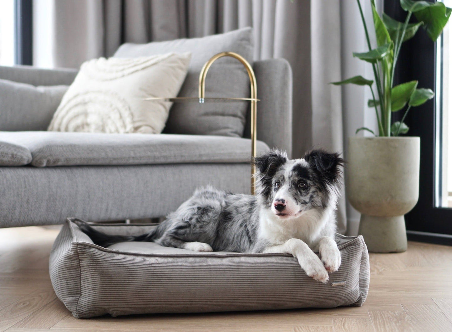 Strippo | Panier pour chien en velours côtelé, bords hauts et housse lavable - Jean - Poil - Jaune