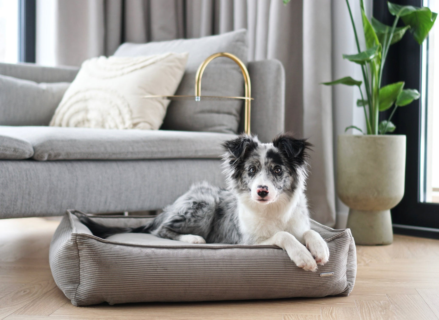 Strippo | Panier pour chien en velours côtelé, bords hauts et housse lavable - Jean - Poil - Jaune
