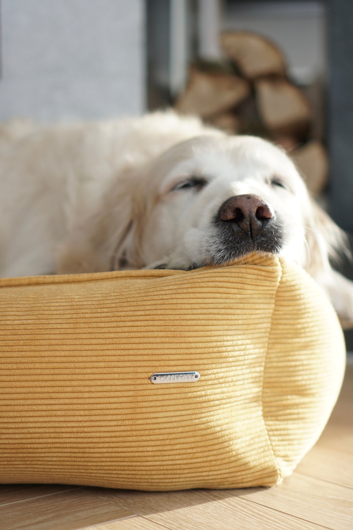 Strippo | Panier pour chien en velours côtelé, bords hauts et housse lavable - Jean - Poil - Jaune