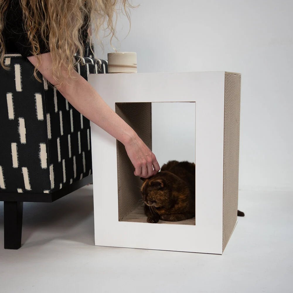 Table | Meuble à griffer en carton recyclé pour chat - Jean - Poil - Noir