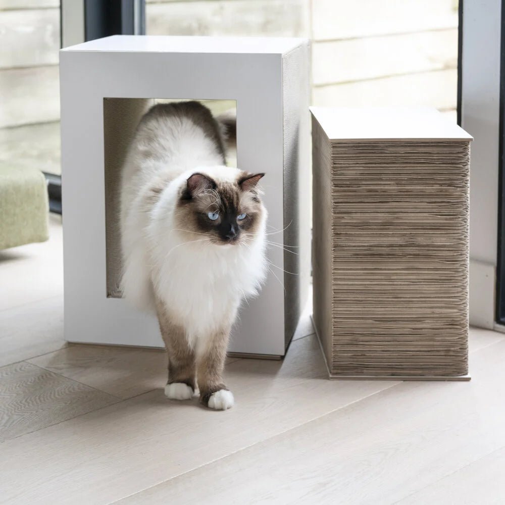 Table | Meuble à griffer en carton recyclé pour chat - Jean - Poil - Noir