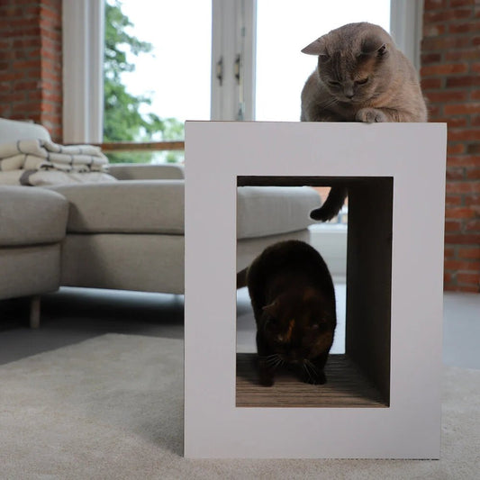 Table | Meuble à griffer en carton recyclé pour chat - Jean - Poil - Noir