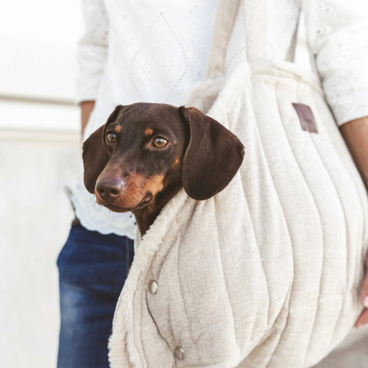 Tahoe | Sac de transport & lit nomade pour chien - Jean-Poil -
