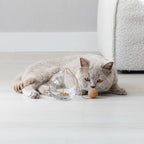 Tail | Jouet design interactif pour chat - Jean - Poil - 