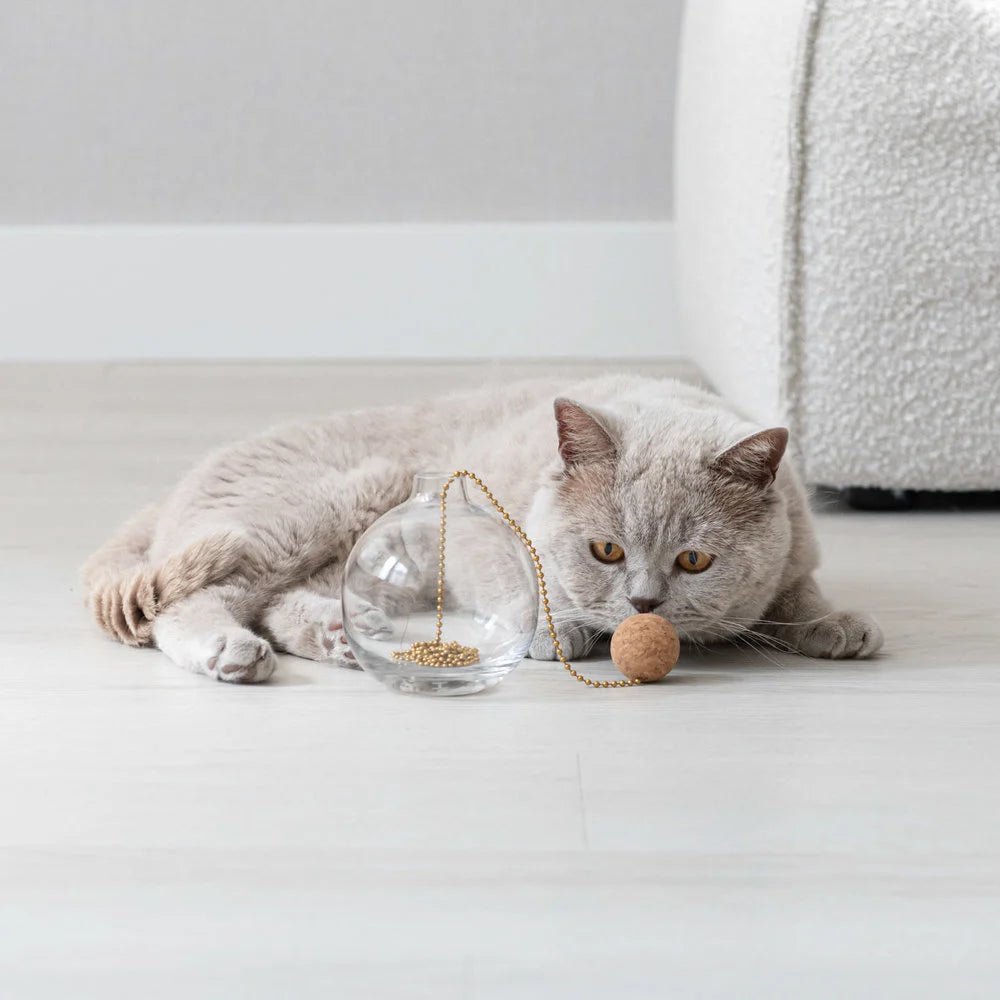 Tail | Jouet design interactif pour chat - Jean - Poil - 