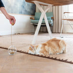 Tail | Jouet design interactif pour chat - Jean - Poil - 