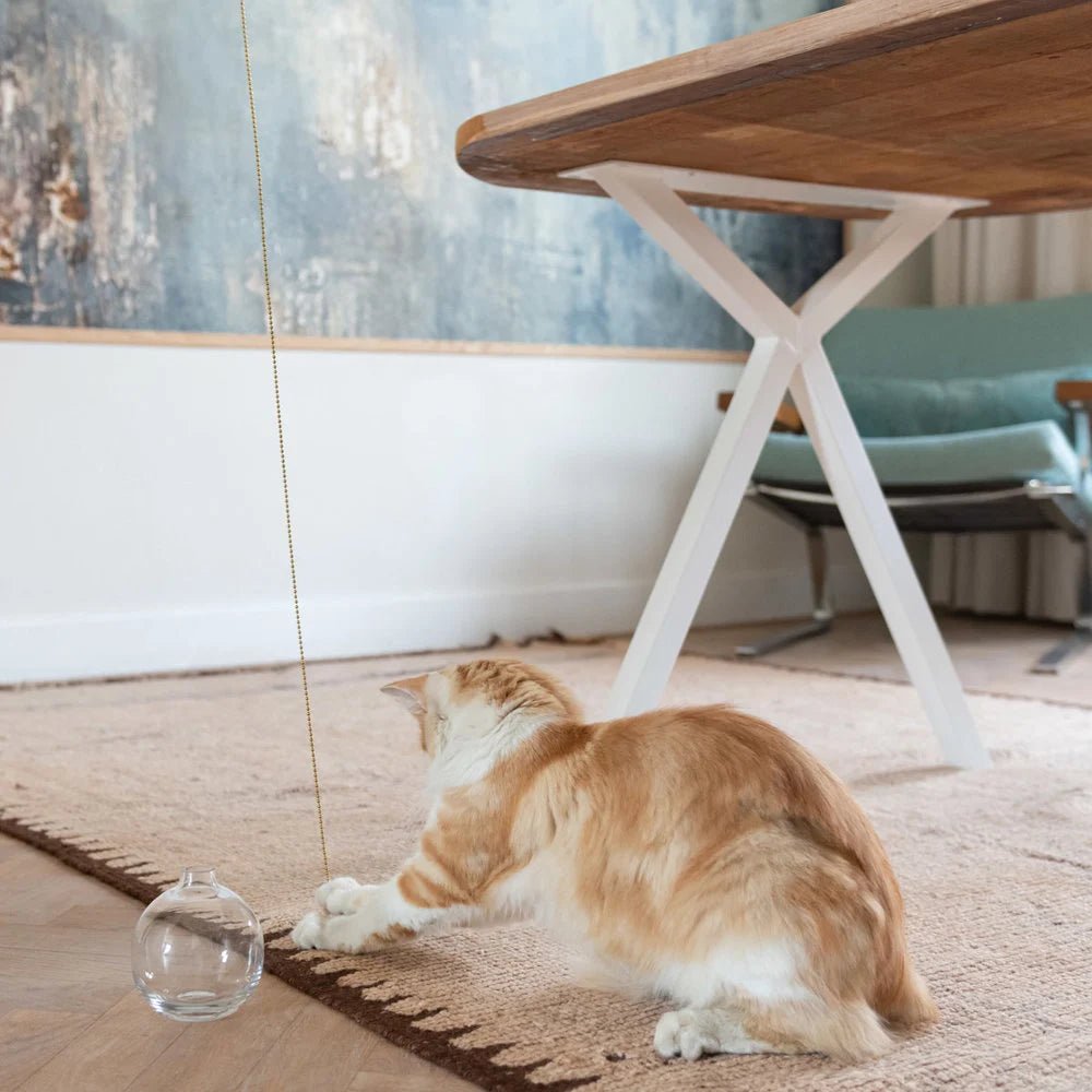 Tail | Jouet design interactif pour chat - Jean - Poil - 