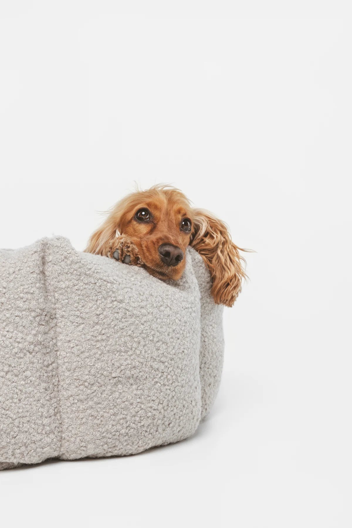Teddy | Panier rond pour chien motif bouclette, fait main - Jean - Poil - S
