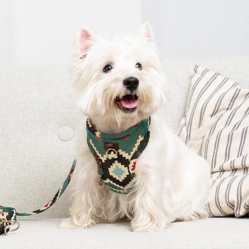 Telmo | Harnais Chest pour chien à motif ethnique, fait main - Jean - Poil - XS