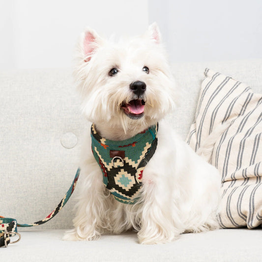 Telmo | Harnais Chest pour chien à motif ethnique, fait main - Jean - Poil - XS