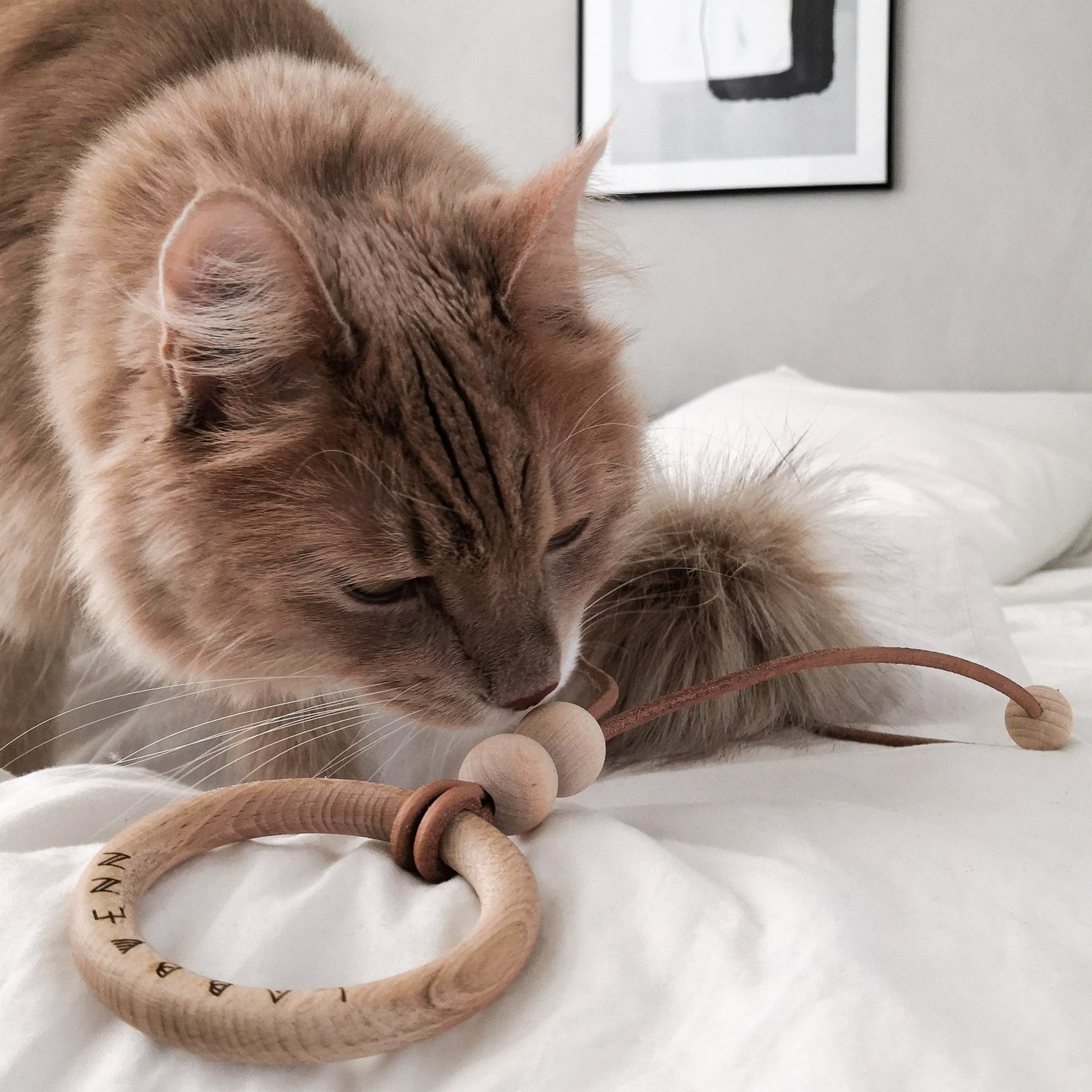 Tollo | Jouet design pour chat en cuir et boules - Jean - Poil - Gris