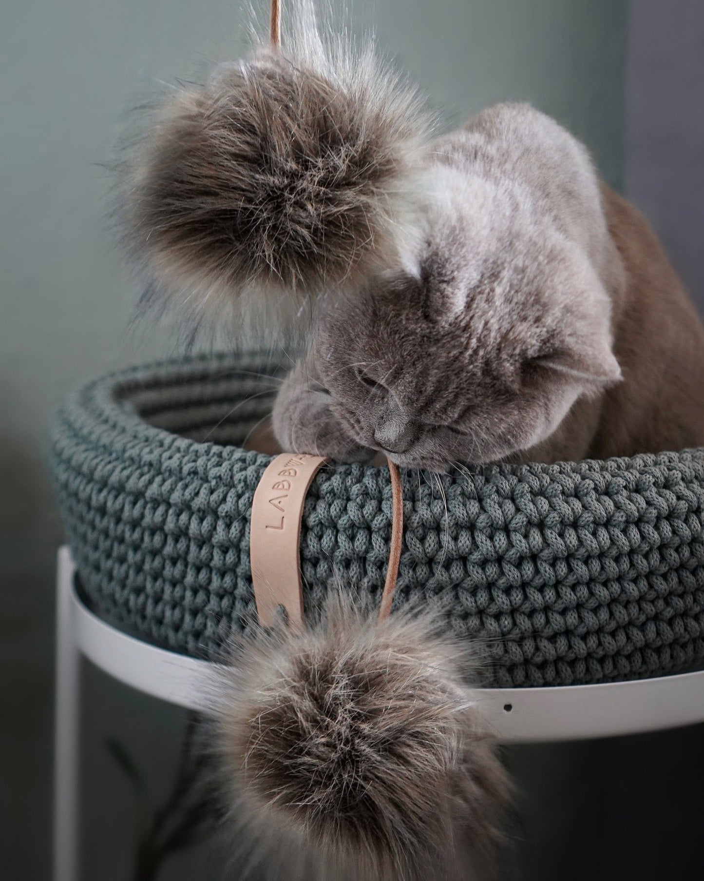 Tollo | Jouet design pour chat en cuir et boules - Jean - Poil - Gris