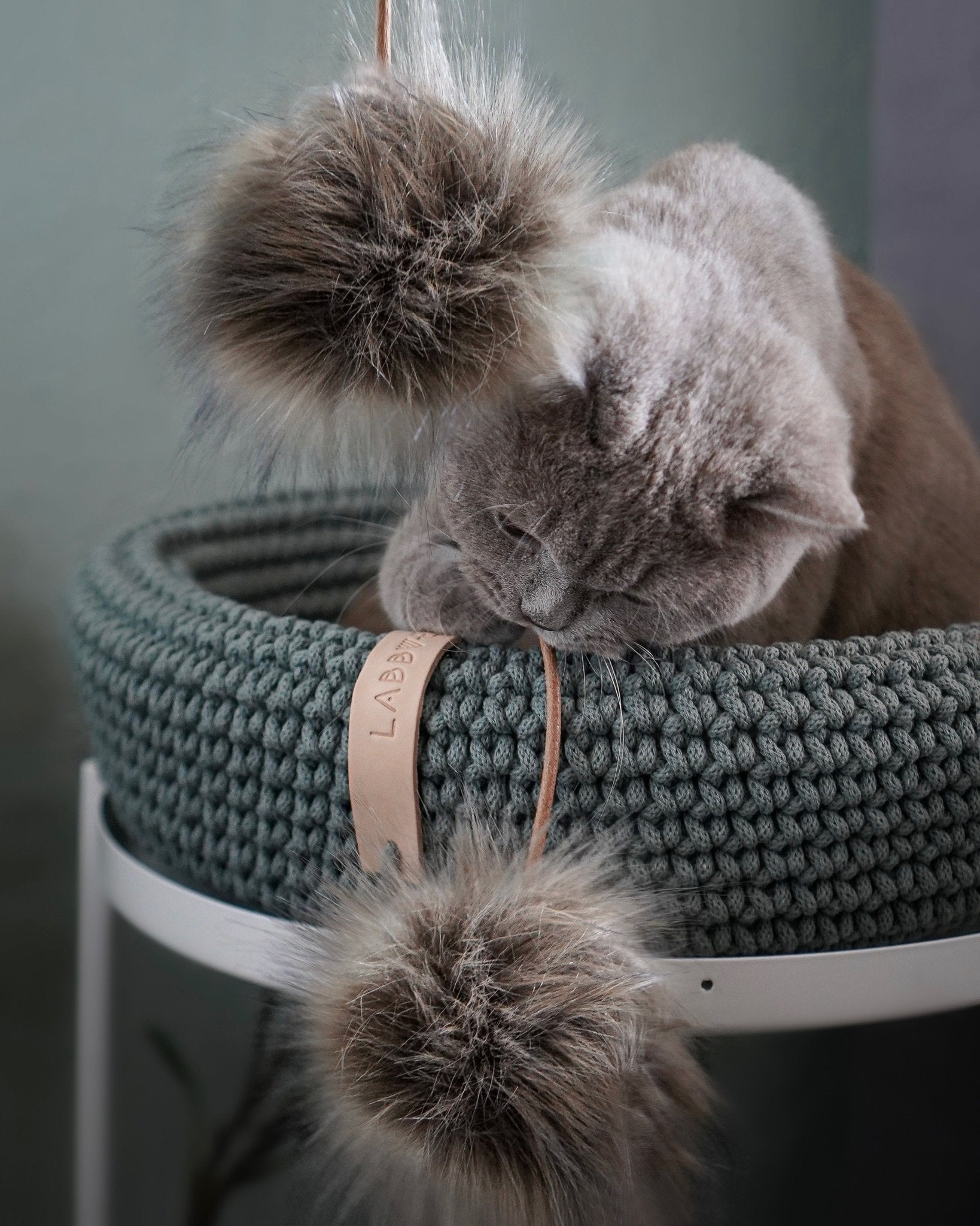 Tollo | Jouet design pour chat en cuir et boules - Jean - Poil - Gris
