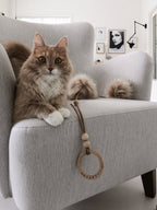 Tollo | Jouet design pour chat en cuir et boules - Jean - Poil - Gris