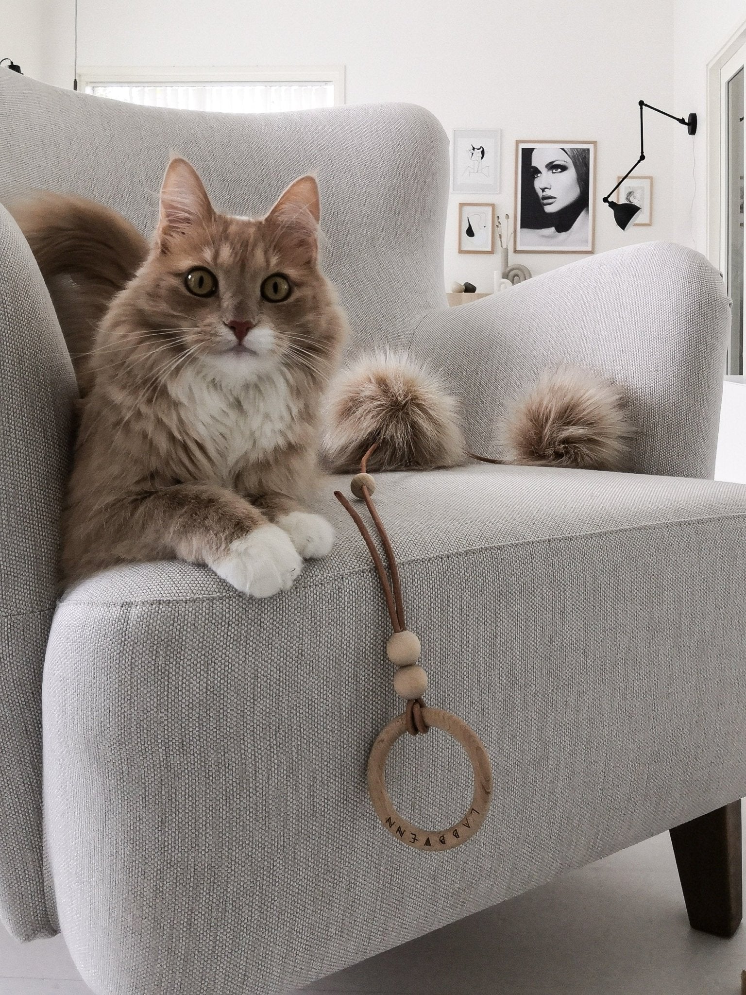 Tollo | Jouet design pour chat en cuir et boules - Jean - Poil - Gris
