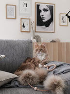 Tollo | Jouet design pour chat en cuir et boules - Jean - Poil - Gris