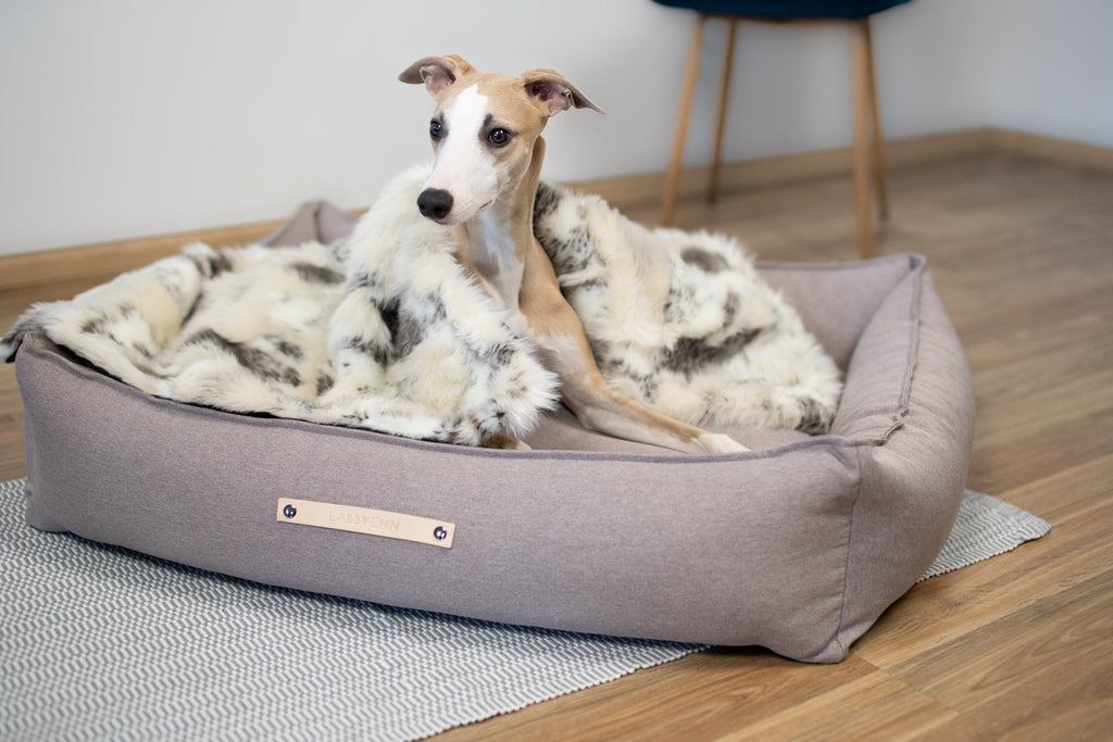 Tösse | Couverture double face douce et chaude pour chien - Jean - Poil - S