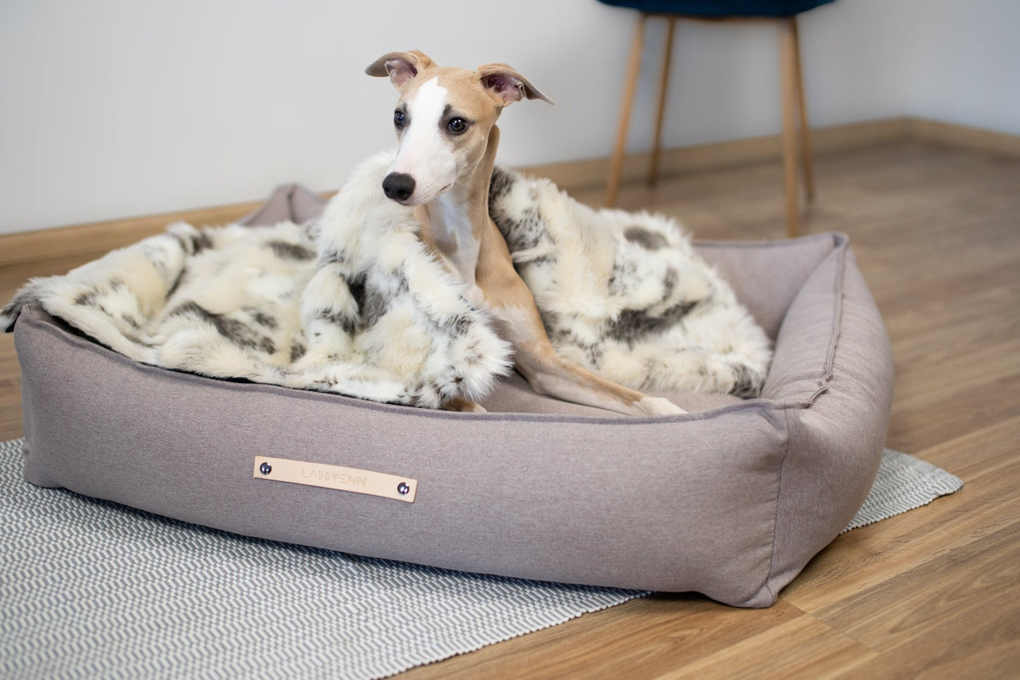 Tösse | Couverture double face douce et chaude pour chien - Jean - Poil - S
