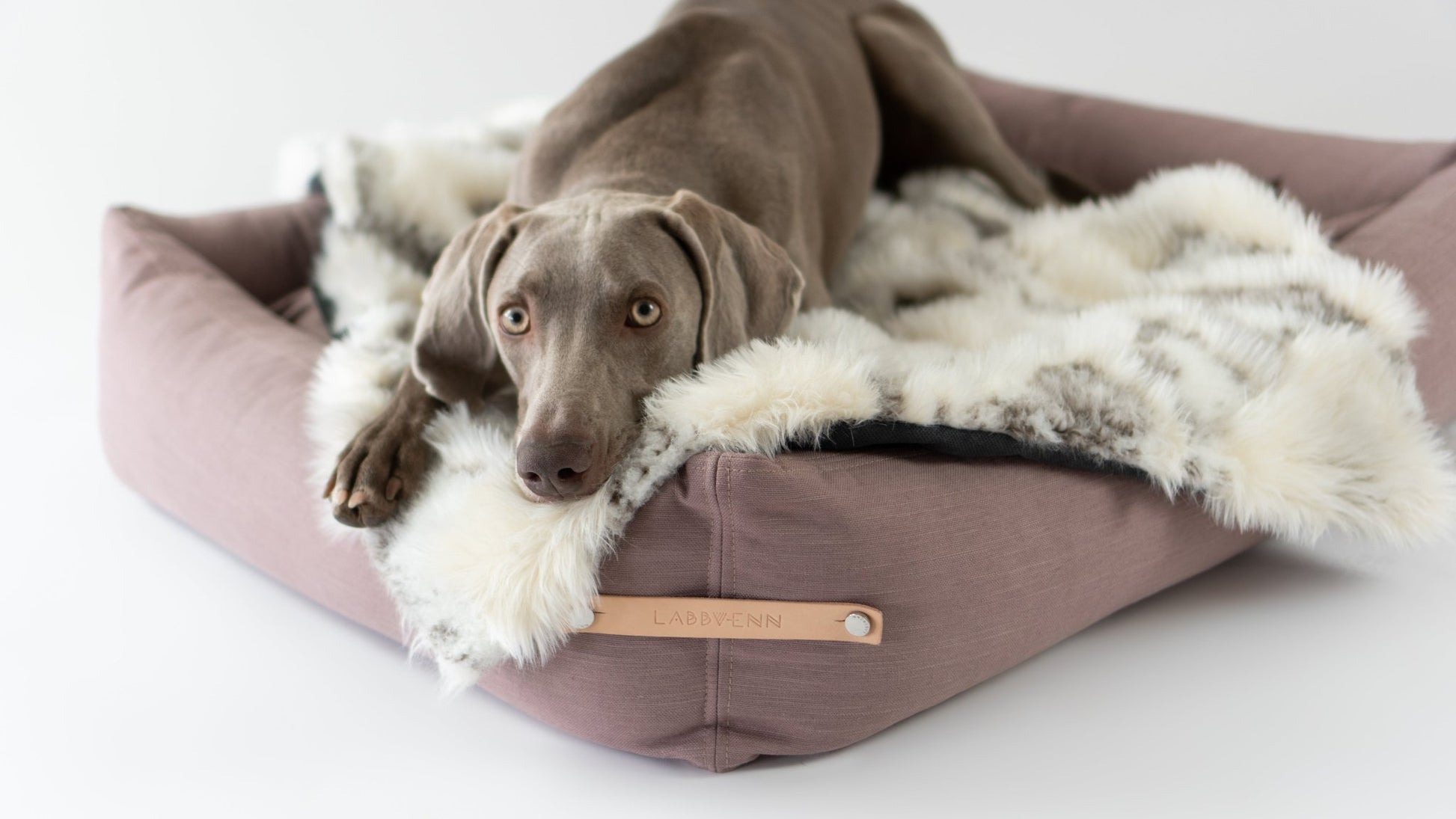 Tösse | Couverture double face douce et chaude pour chien - Jean - Poil - S