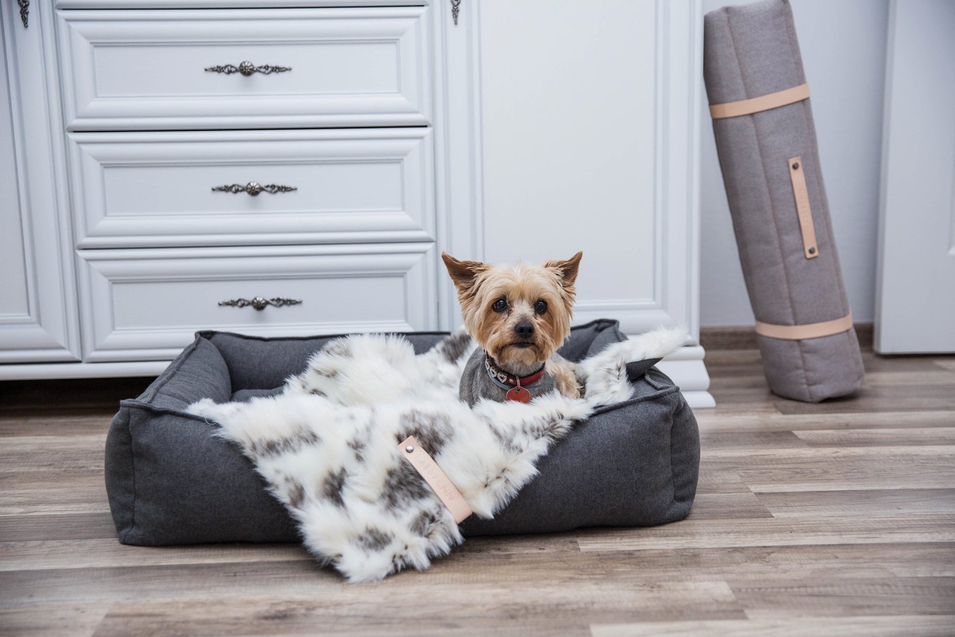 Tösse | Couverture double face douce et chaude pour chien - Jean - Poil - S