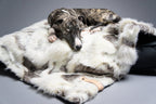 Tösse | Couverture double face douce et chaude pour chien - Jean - Poil - S